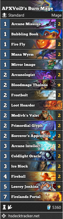 APXVoiD’s Burn Mage